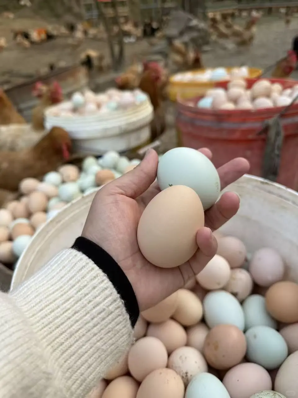 30�����ˣ�����ʵ���˼������ɣ�