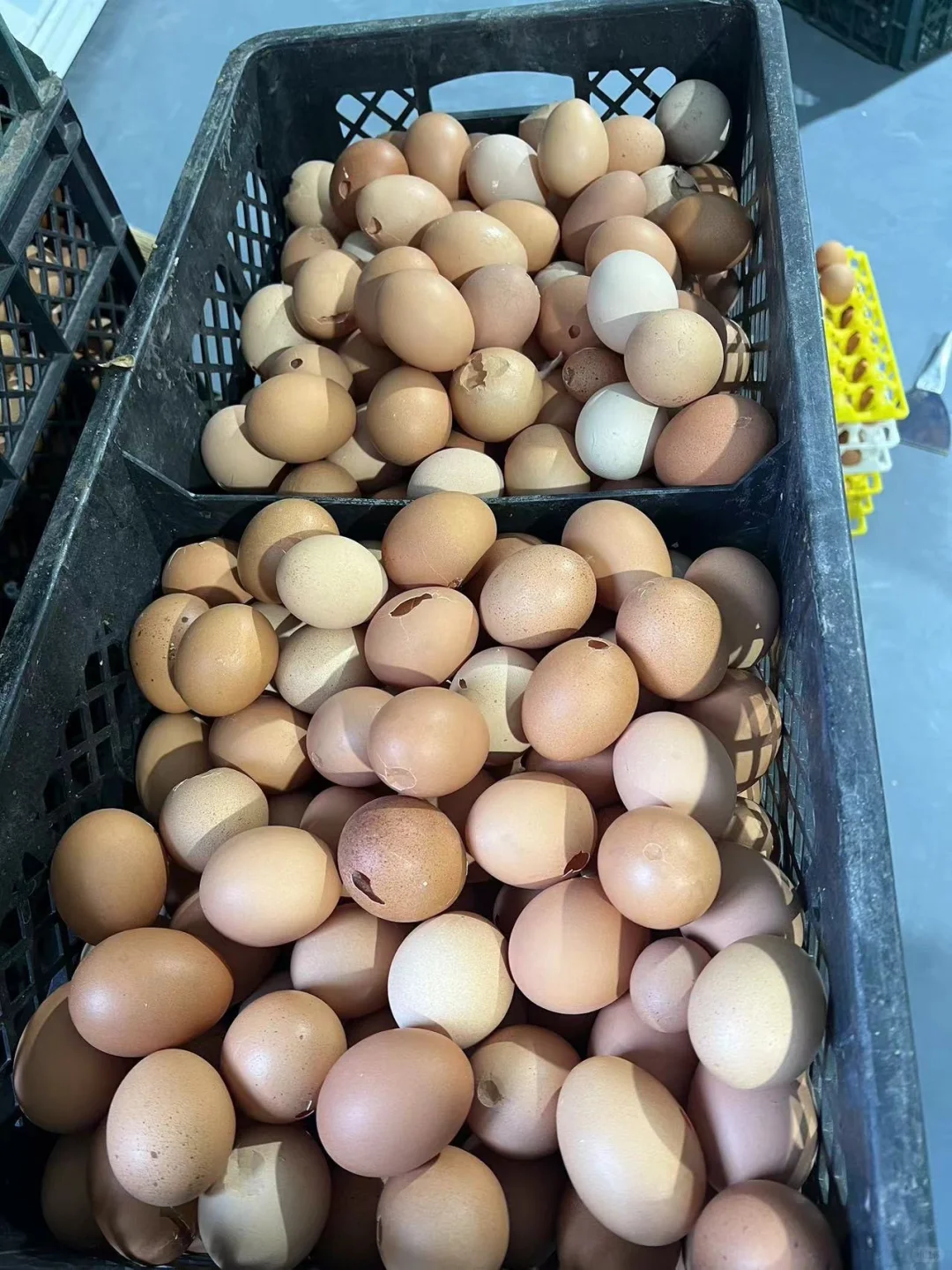 ��Ʒ�ʴ�Ʒ��