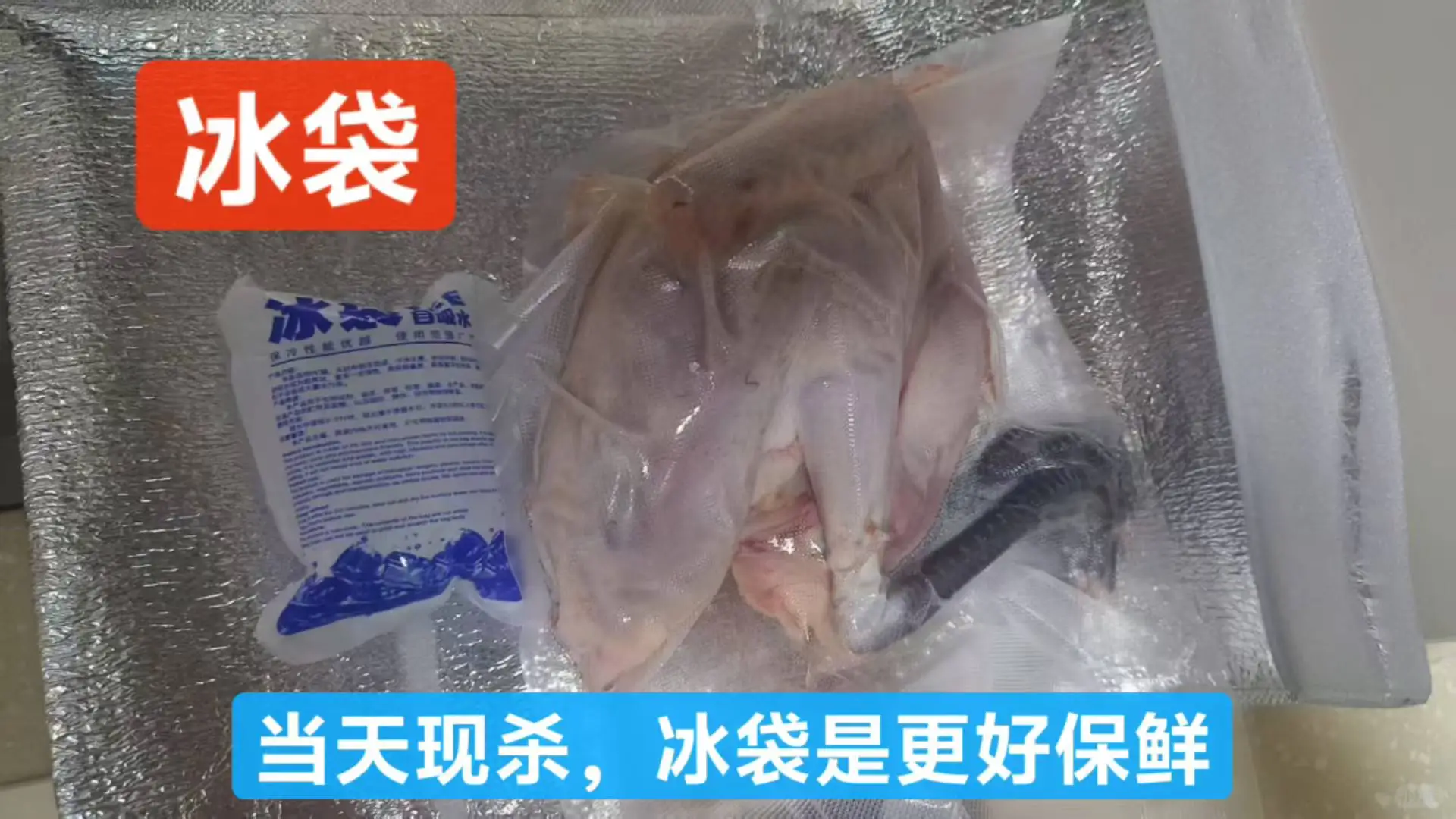 �Ϸ�������ɢ����