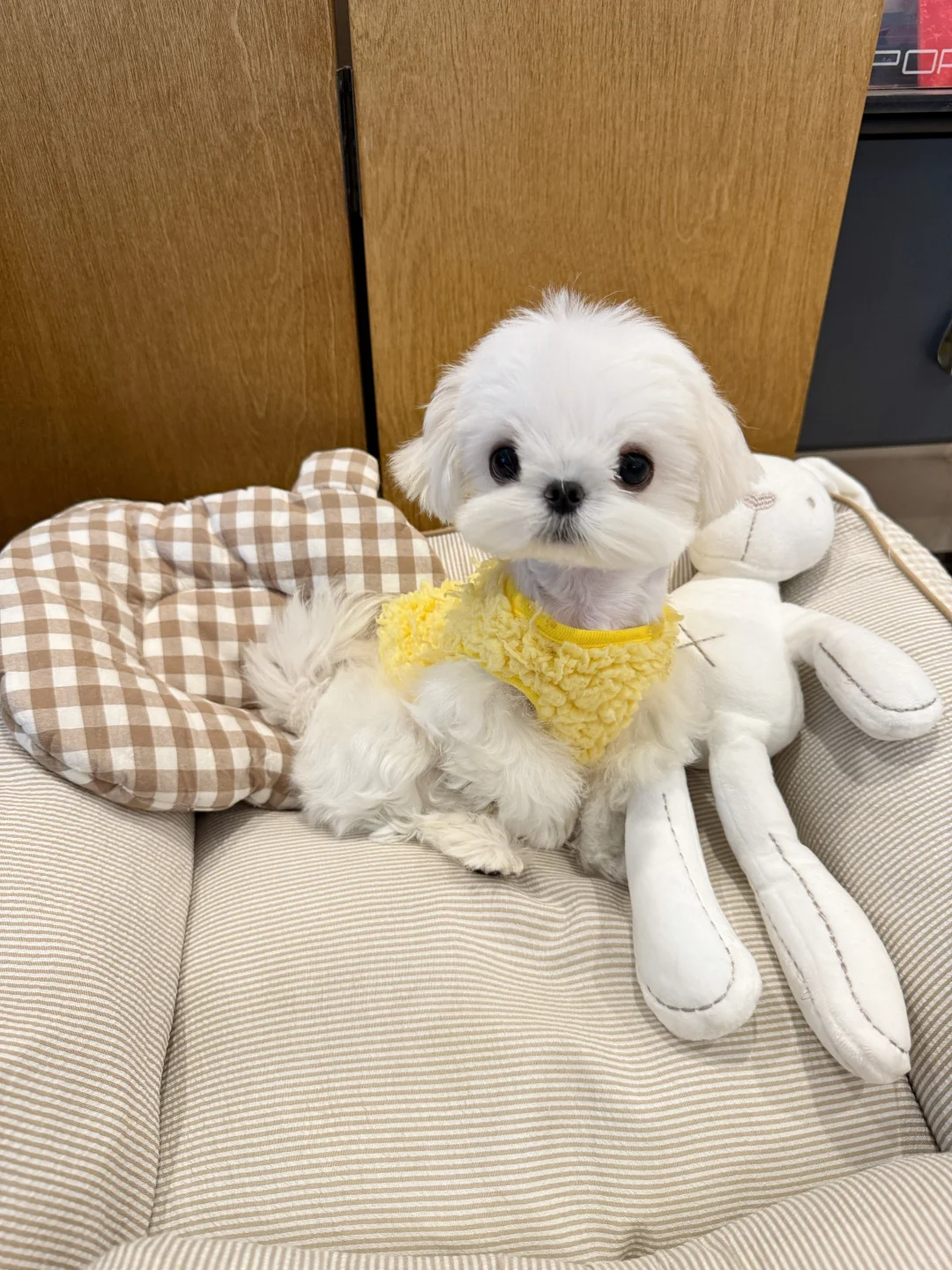 live图的平底锅?喜欢鸡蛋头的家长速来?