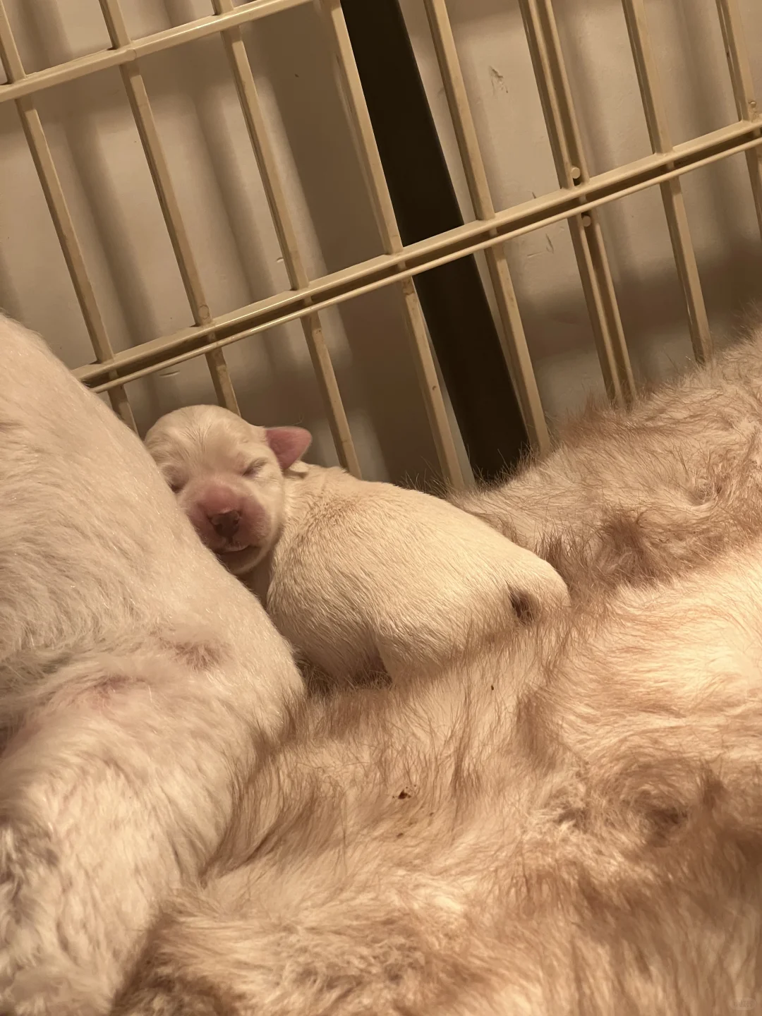 ���ߵر������¼�??