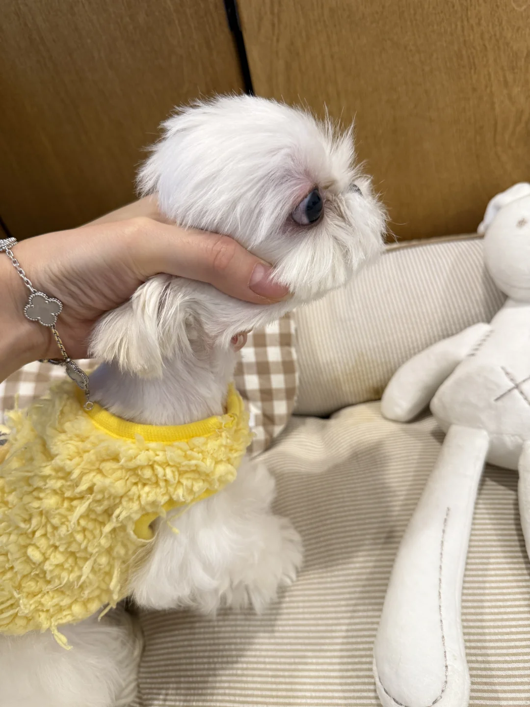 live图的平底锅?喜欢鸡蛋头的家长速来?