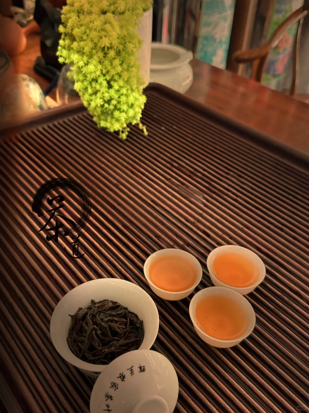 �����ݴ���Ҷ�ز����ȿ�??��ҶС�ױؿ�?