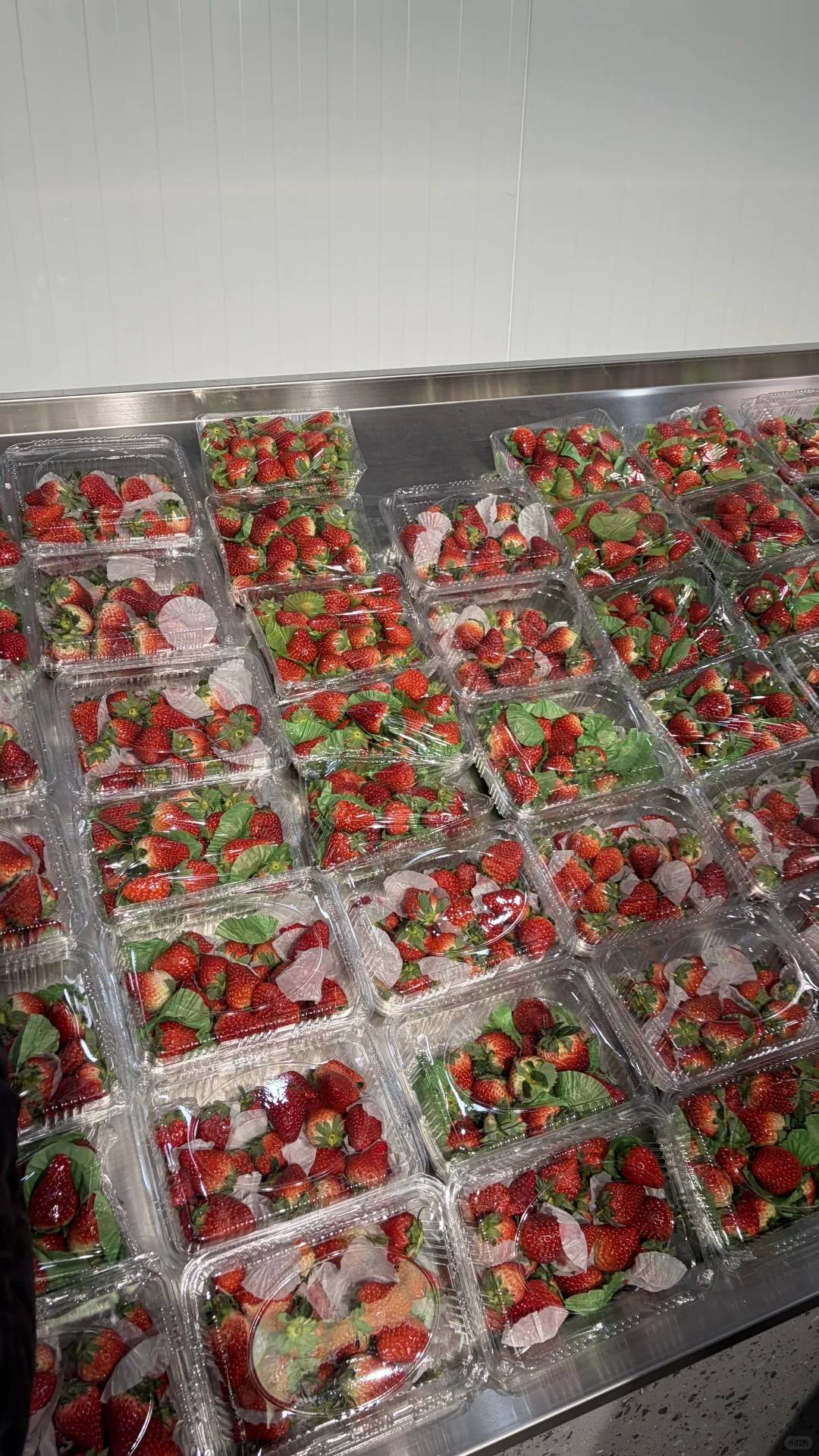 ?在廊坊的!都给我去新发地买草莓!!!