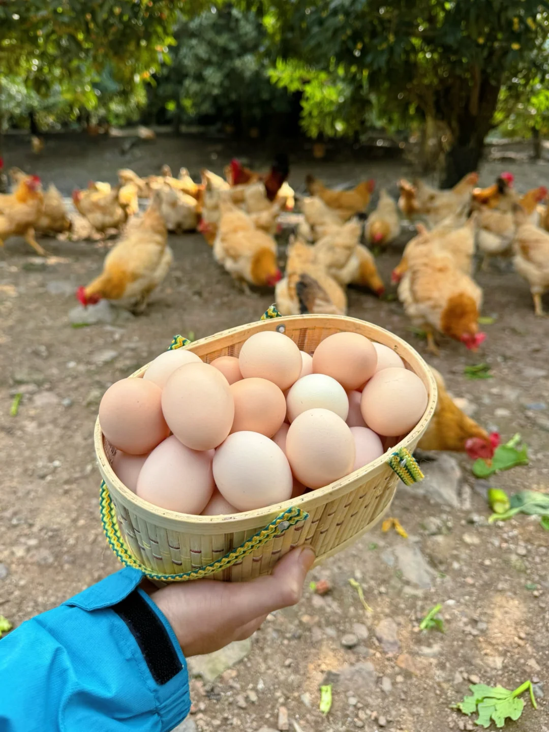 ��ĶԲ���??��?����?.?�Գ�ʵ��̫���㡭