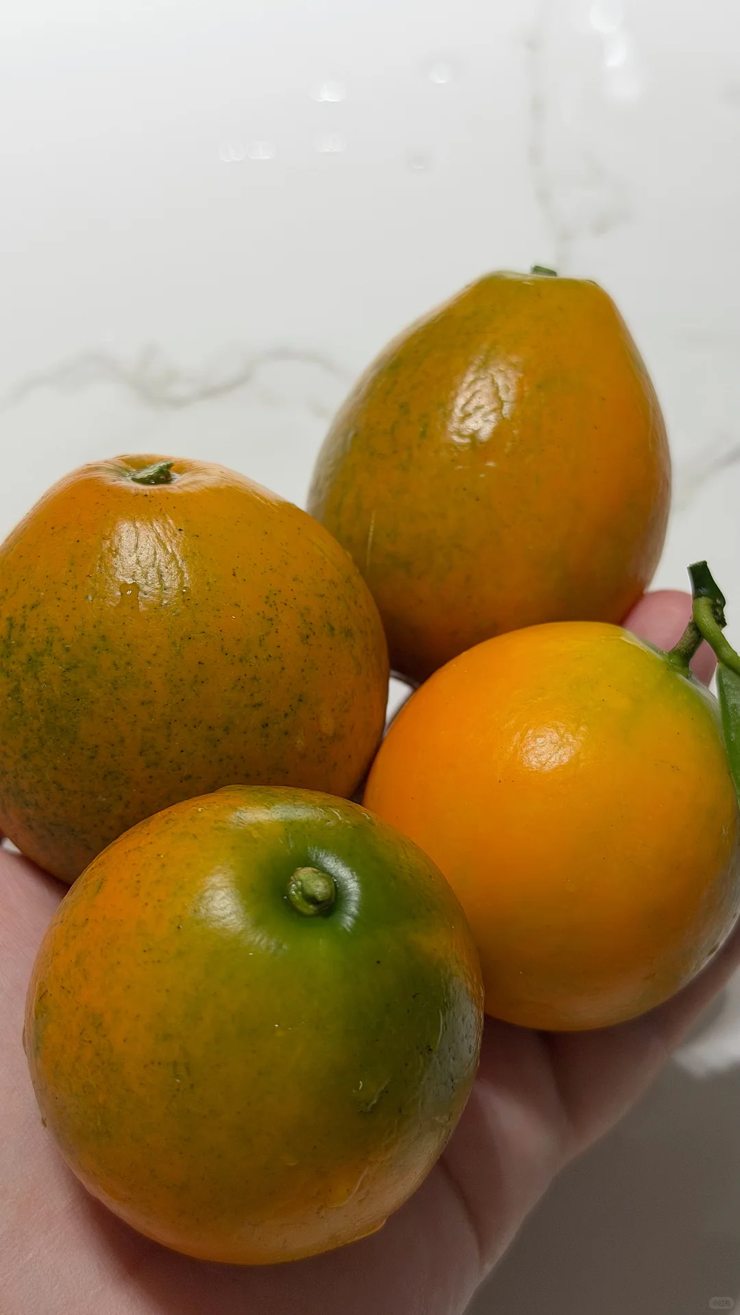 �����ڰ����۽�� �ȼ������� ������ʵ����