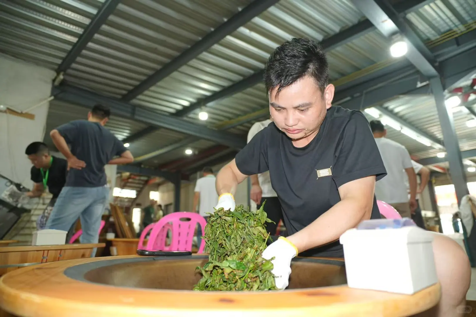 �����ݴ���Ҷ�ز����ȿ�??��ҶС�ױؿ�?