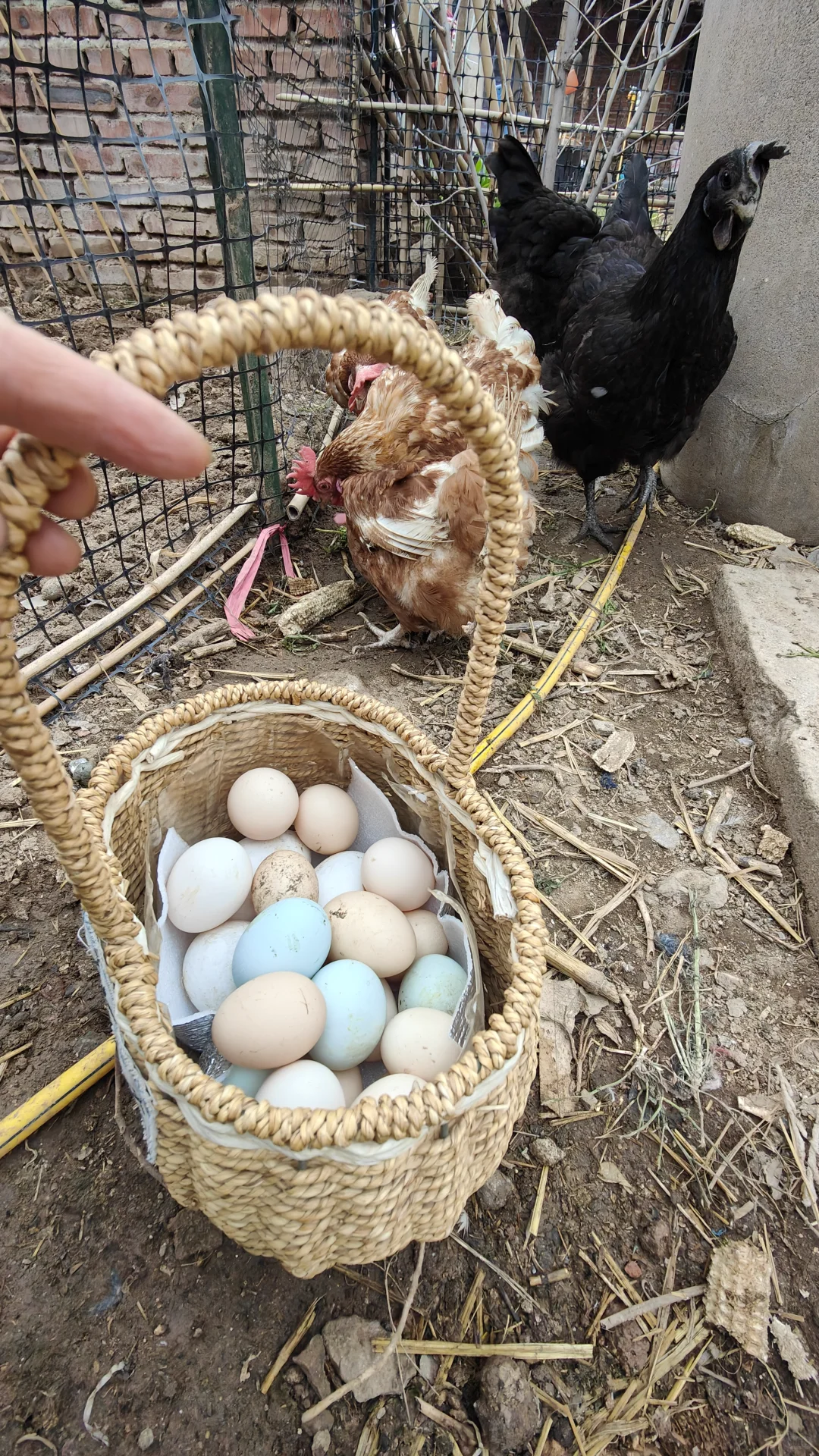 ʯ��ׯ��������