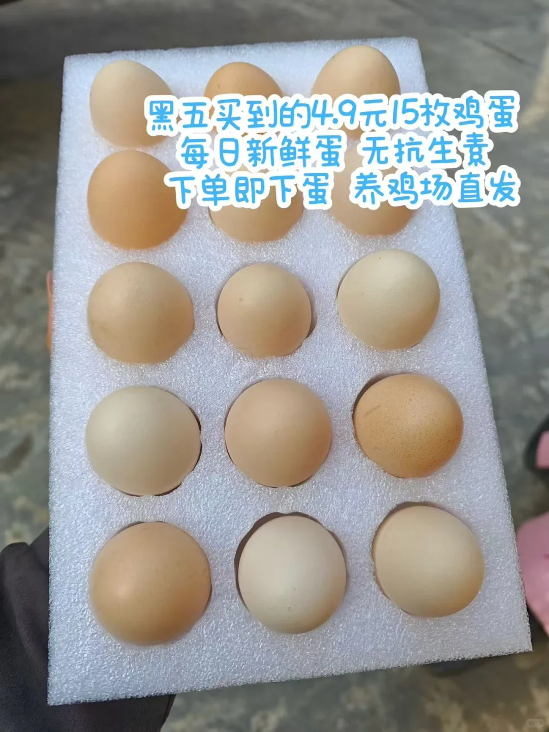 ���ᵳ������4.9Ԫ�����㶨һ�ܻ������