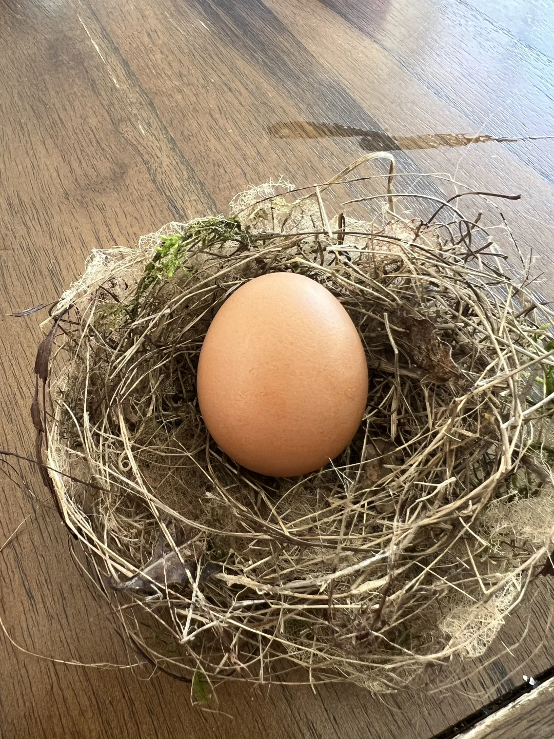 奥克兰散养草鸡蛋?比超市还便宜!12刀30个