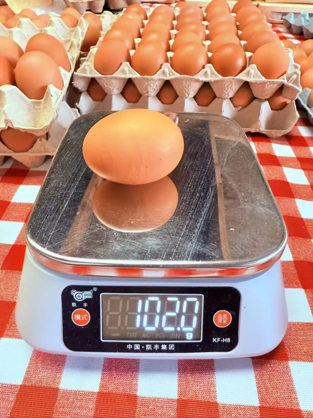 奥克兰散养草鸡蛋?比超市还便宜!12刀30个