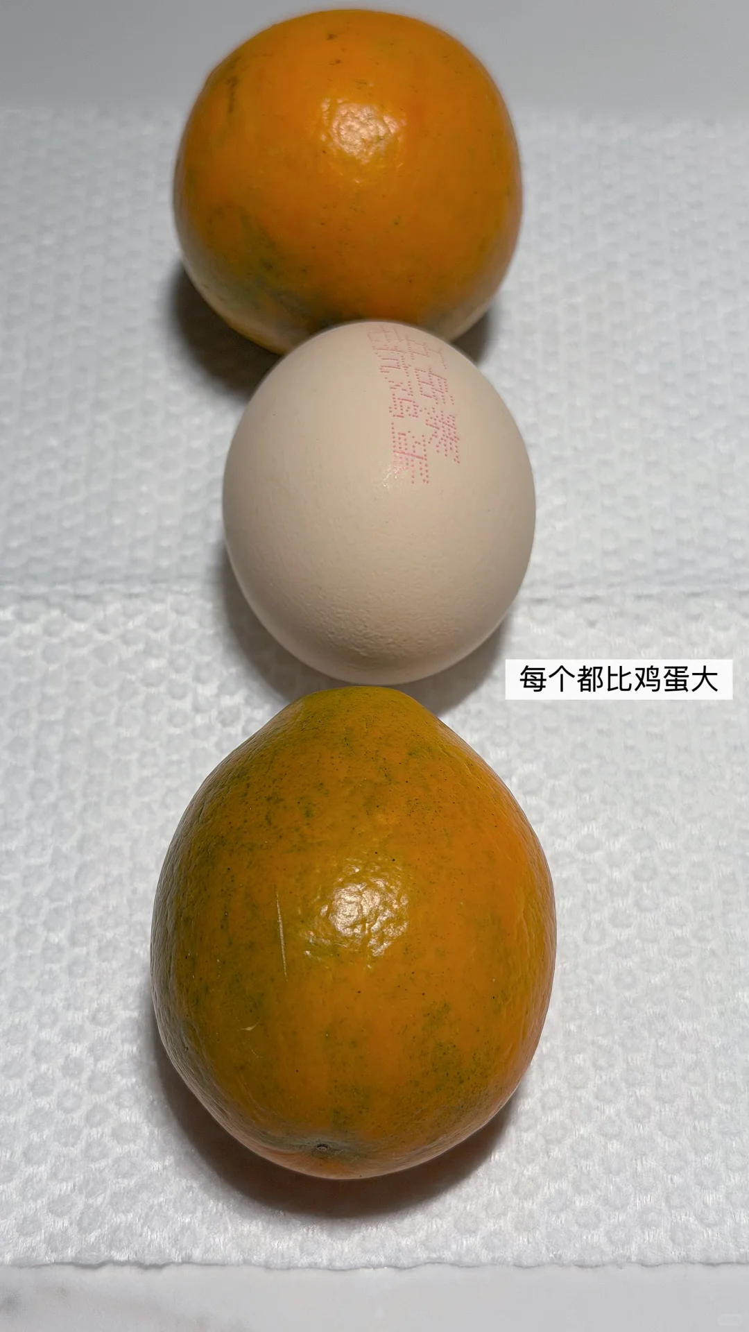 �����ڰ����۽�� �ȼ������� ������ʵ����