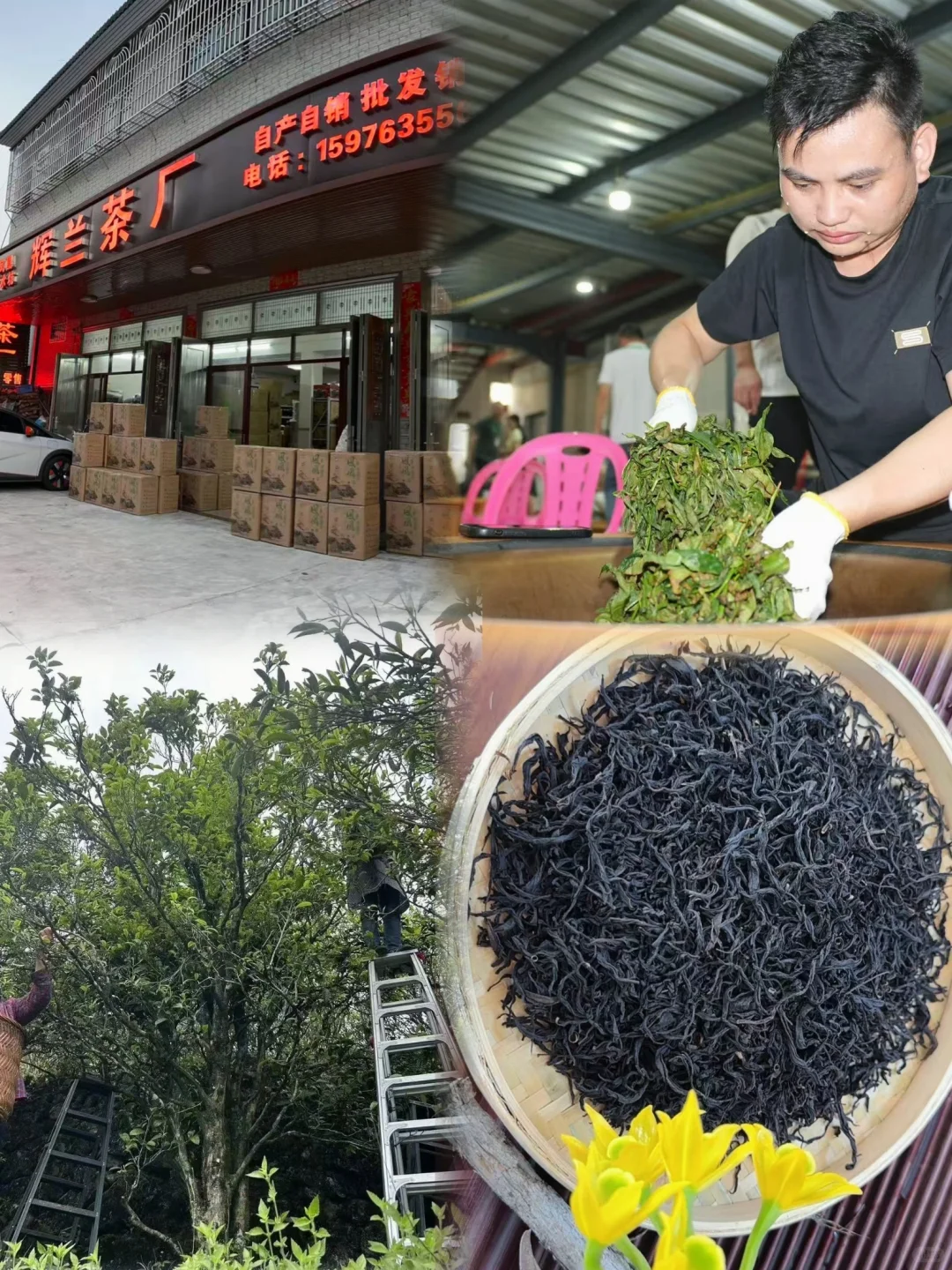 �����ݴ���Ҷ�ز����ȿ�??��ҶС�ױؿ�?