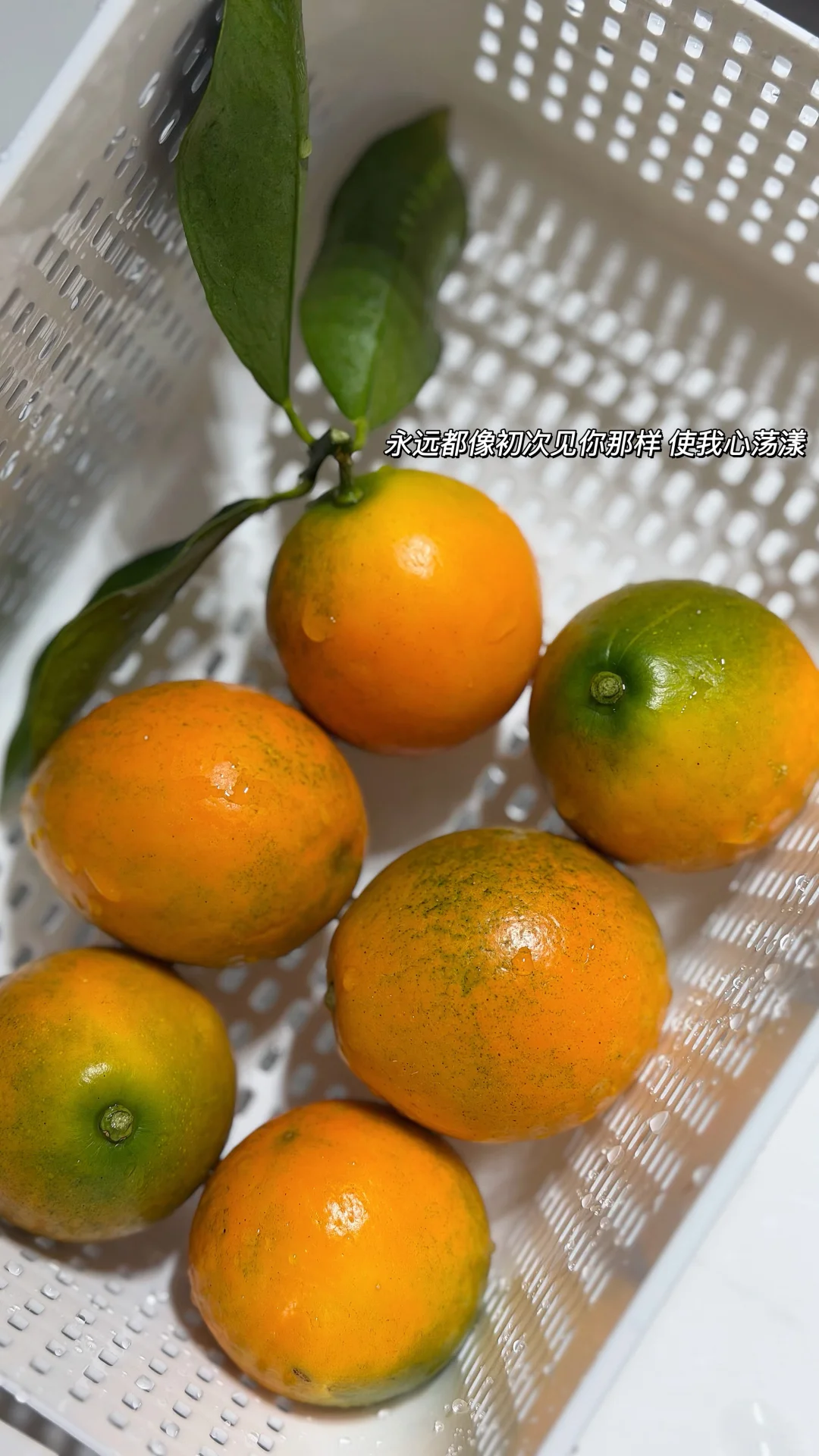 �����ڰ����۽�� �ȼ������� ������ʵ����