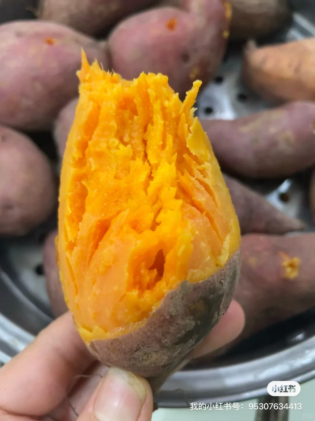 ��һͷ�����������ɱ�̫���ˣ����5200Ԫ