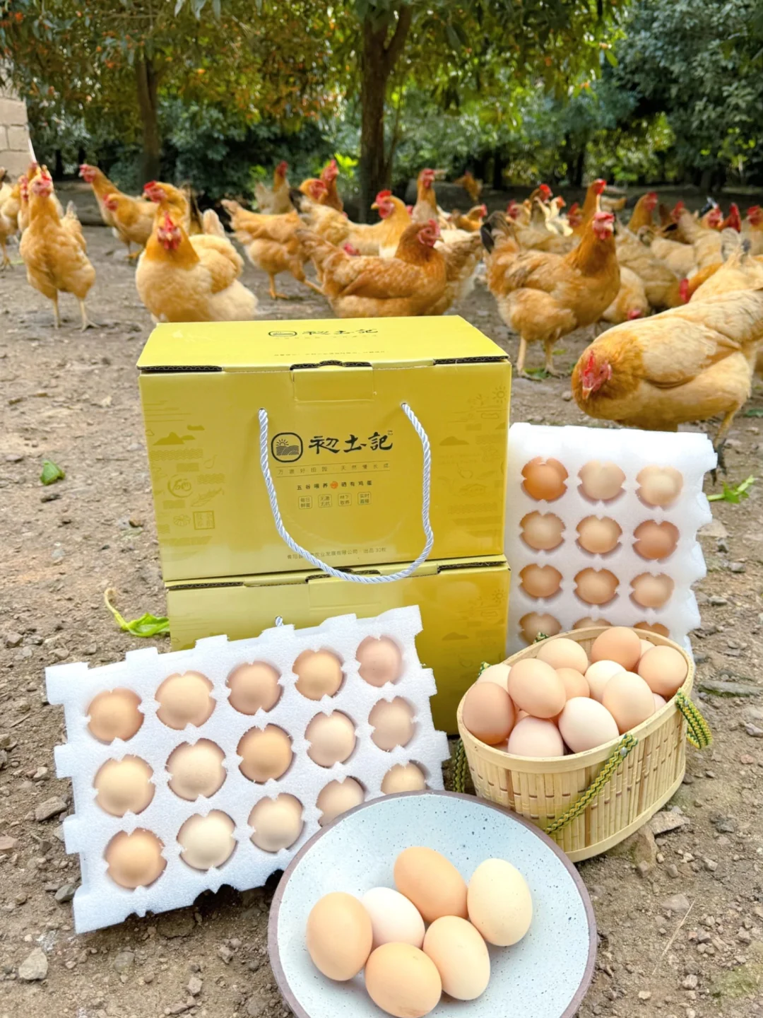 ��ĶԲ���??��?����?.?�Գ�ʵ��̫���㡭