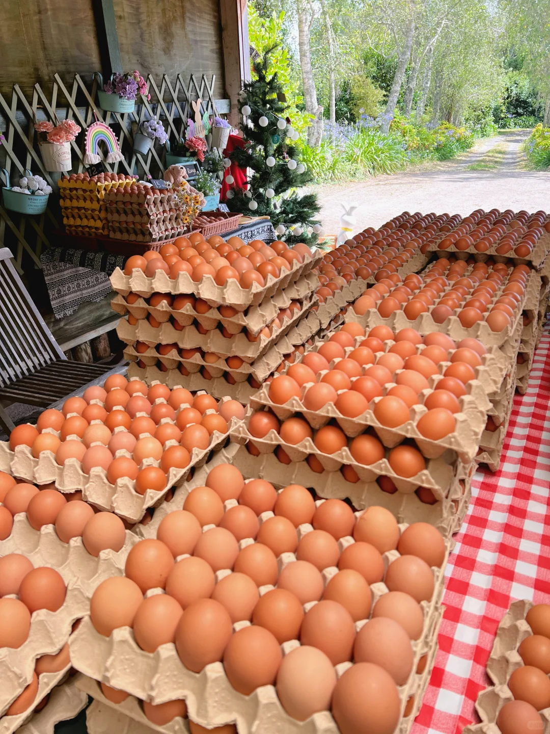 �¿���������ɢ���������Ź��ѵ�����ȡ����?