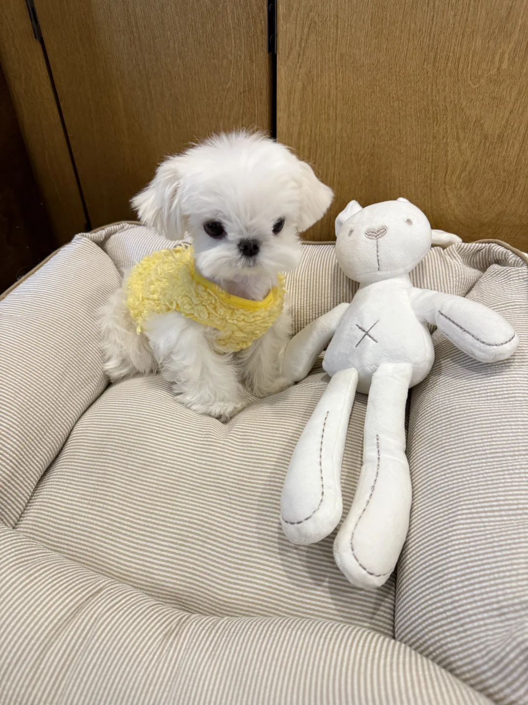 live图的平底锅?喜欢鸡蛋头的家长速来?