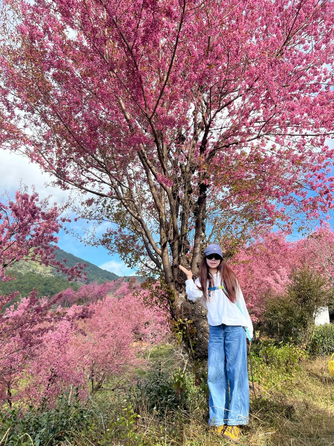 ����ֻҪ�����ϰ��Ҷ����ԣ�