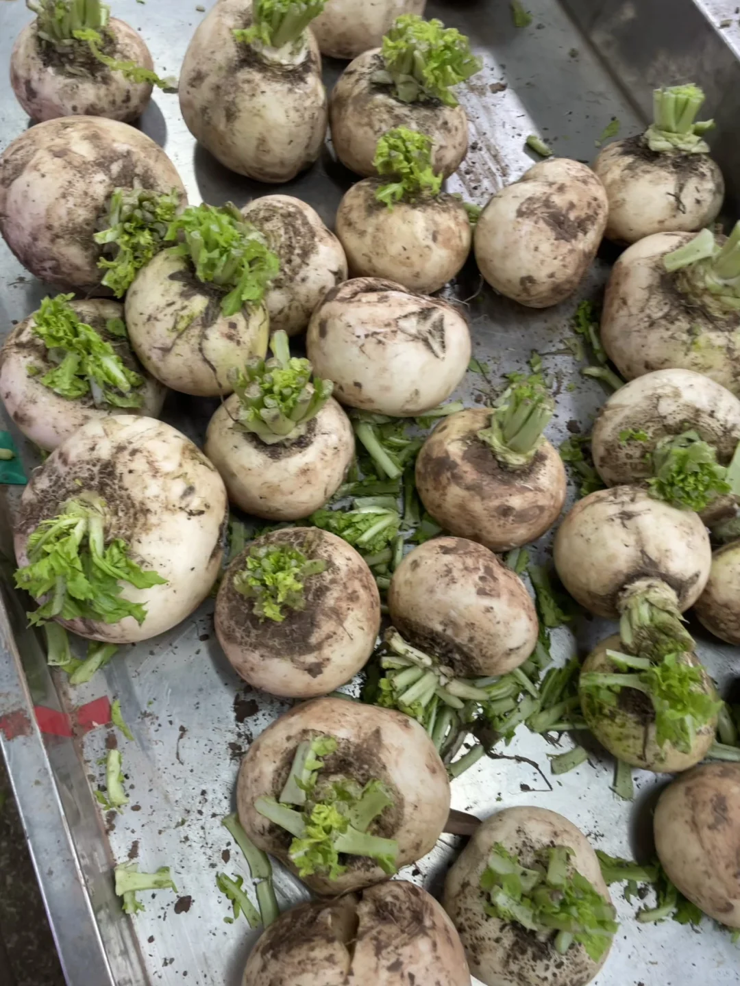 ��һͷ�����������ɱ�̫���ˣ����5200Ԫ