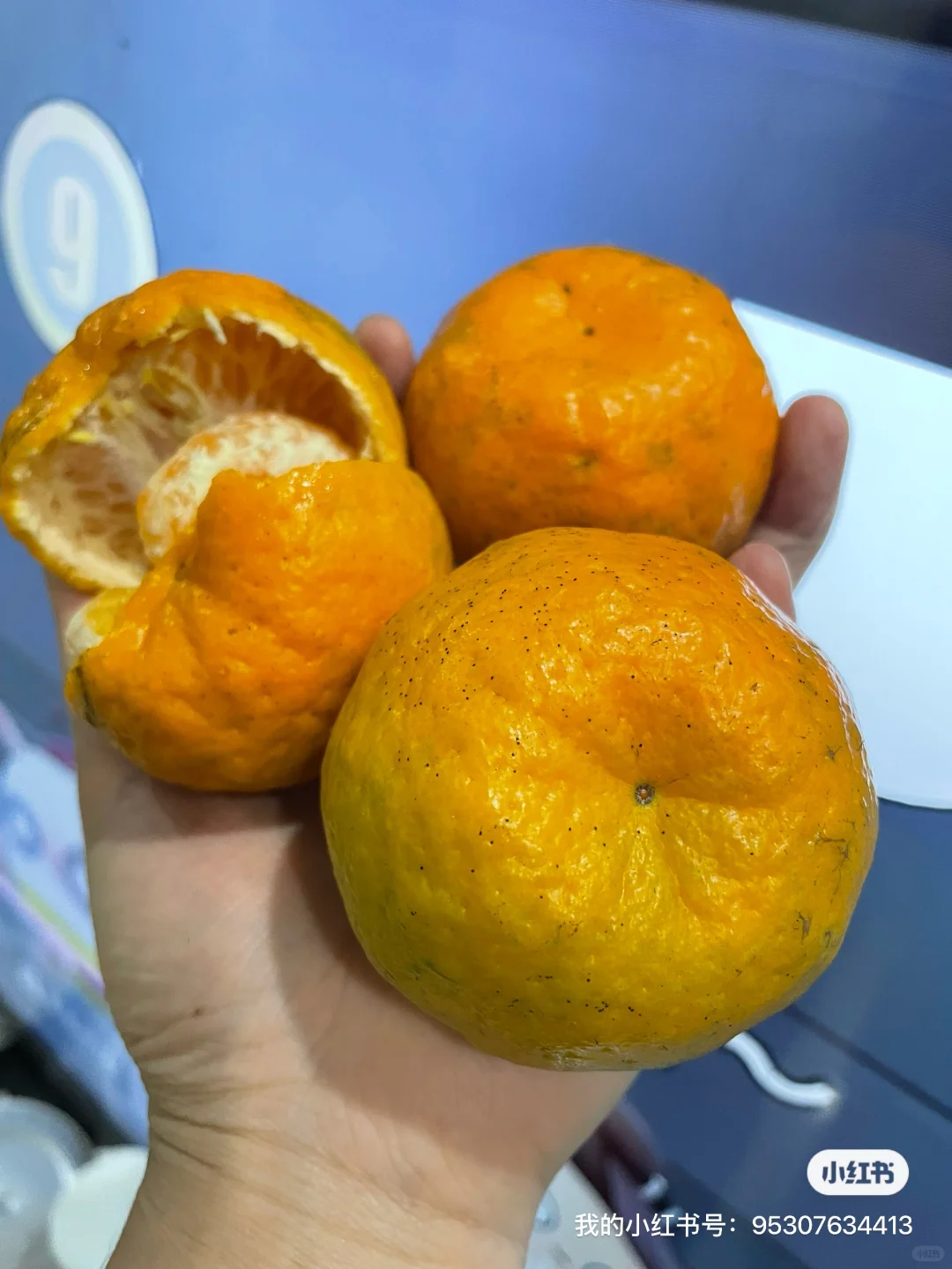 ��һͷ�����������ɱ�̫���ˣ����5200Ԫ