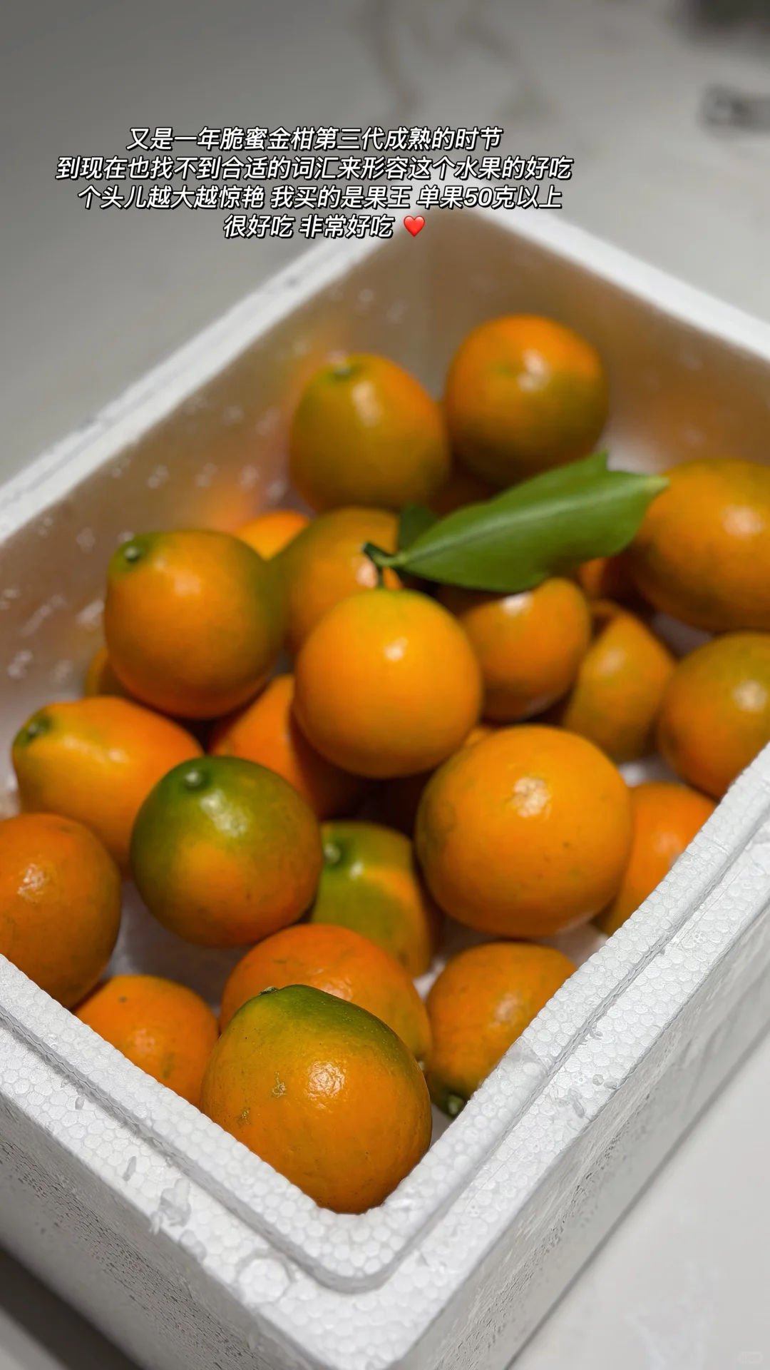 �����ڰ����۽�� �ȼ������� ������ʵ����