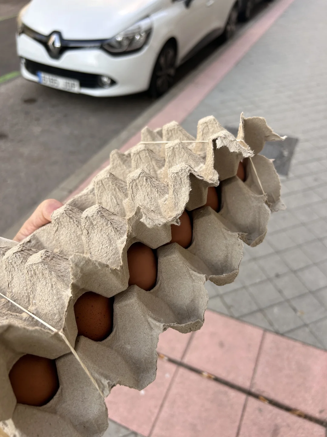 ÿ��ֻ��һ���������ũ������