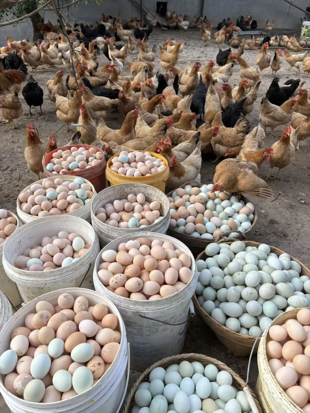 30�����ˣ�����ʵ���˼������ɣ�