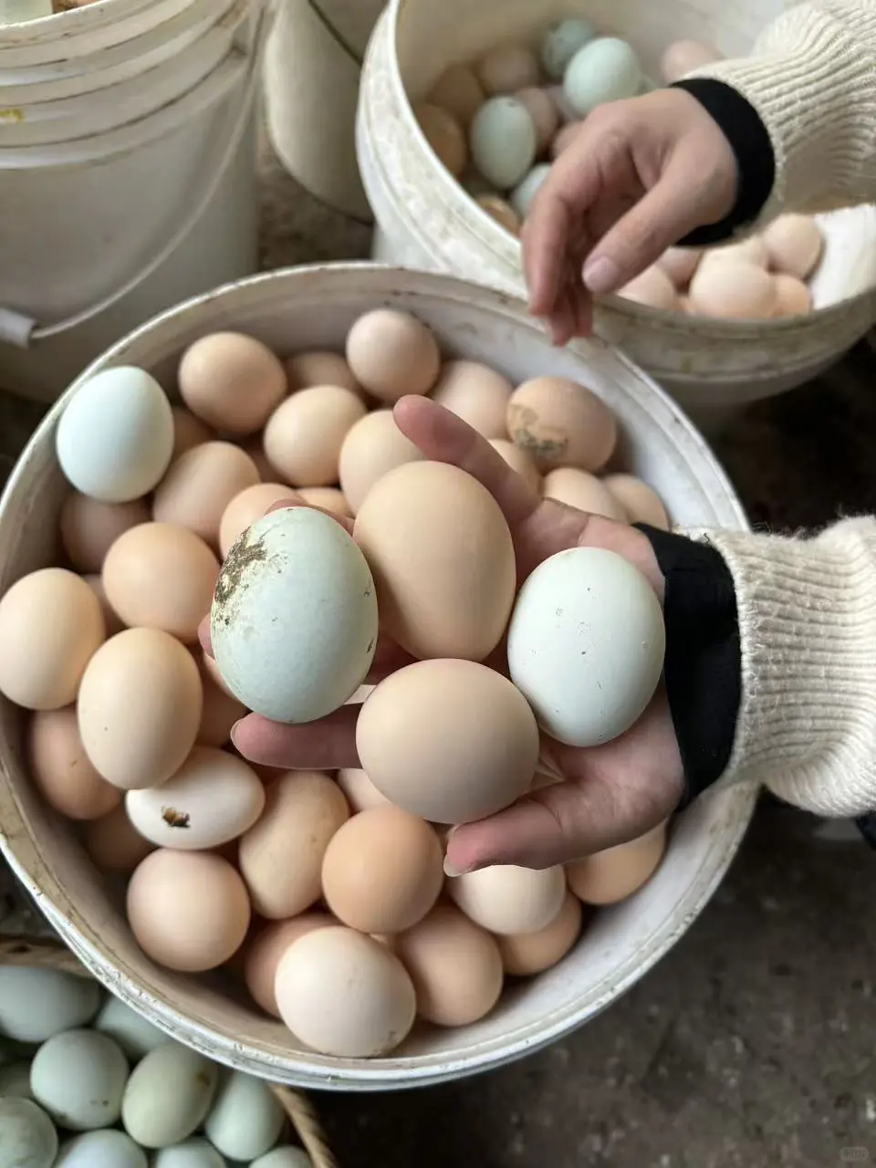 30�����ˣ�����ʵ���˼������ɣ�