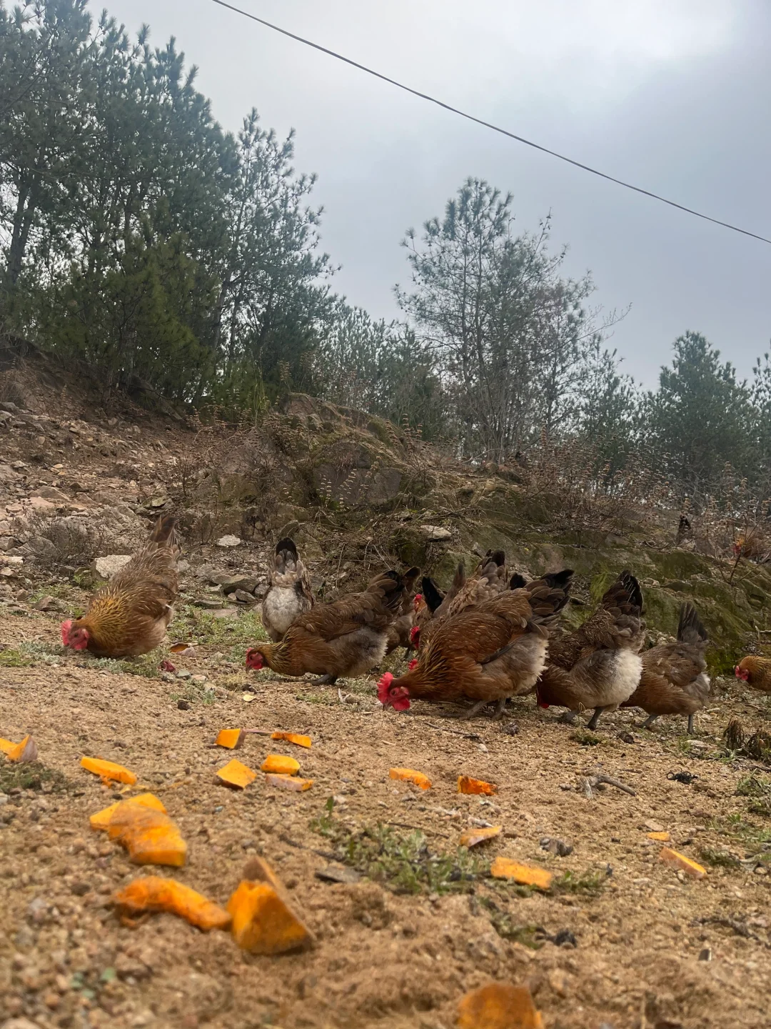 �Լ���ΪʲôҪѡ�������������治�ǡ���