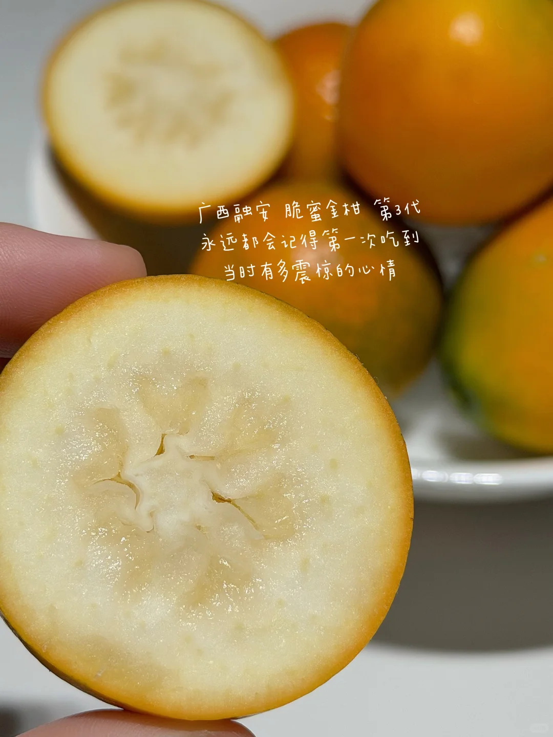 �����ڰ����۽�� �ȼ������� ������ʵ����