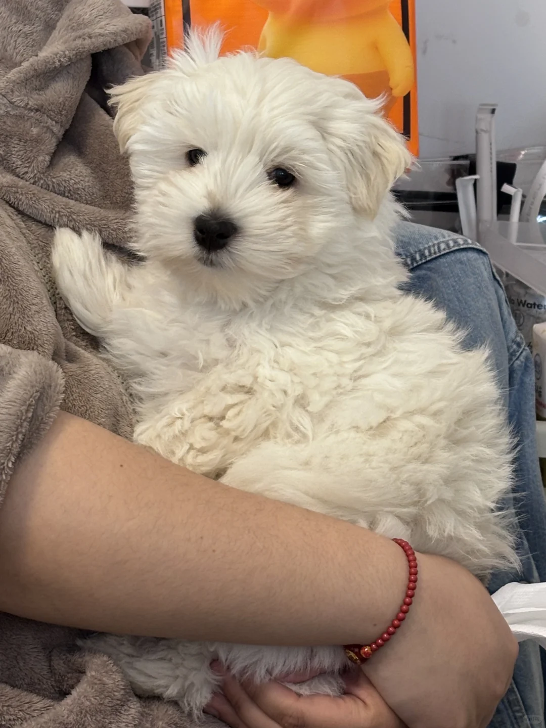 ���ߵر������¼�??