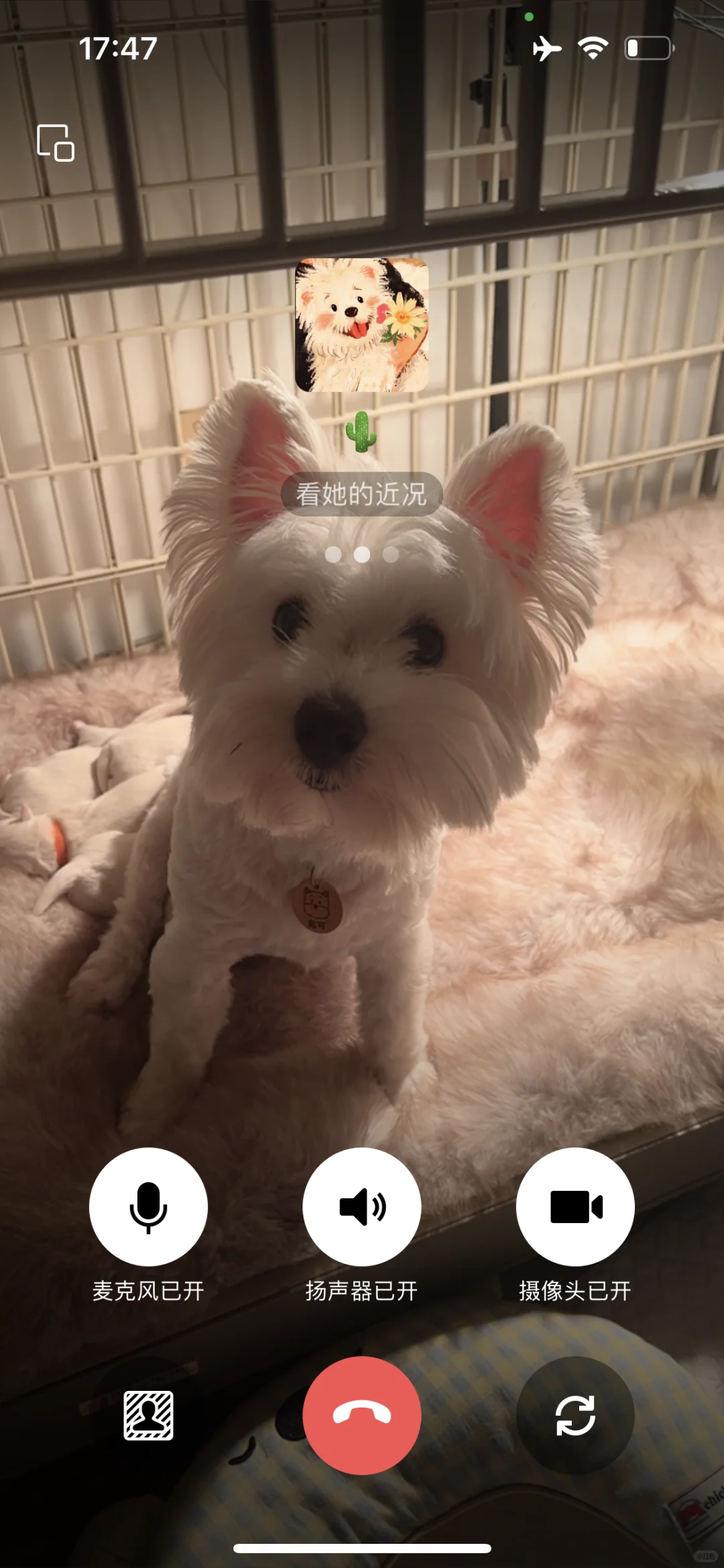 ���ߵر������¼�??