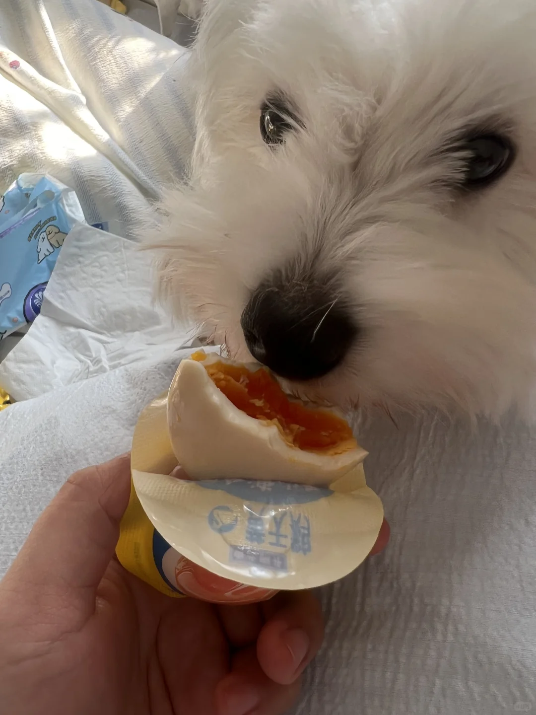 ���ߵر������¼�??