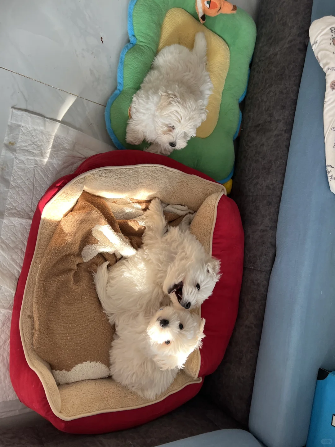 ���ߵر������¼�??