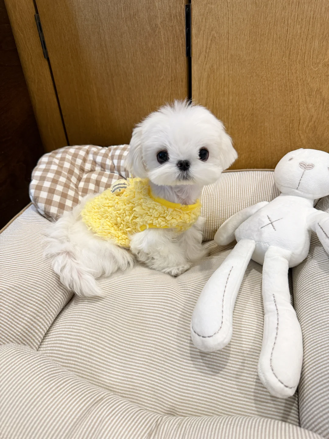 live图的平底锅?喜欢鸡蛋头的家长速来?