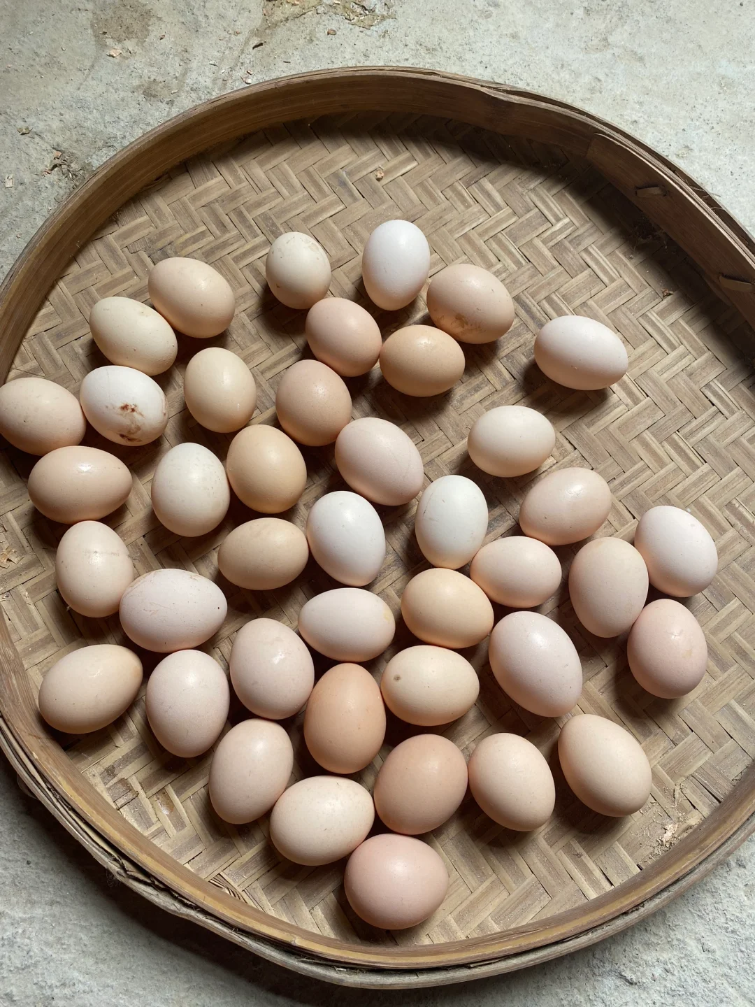 ����������������Ȥ�������