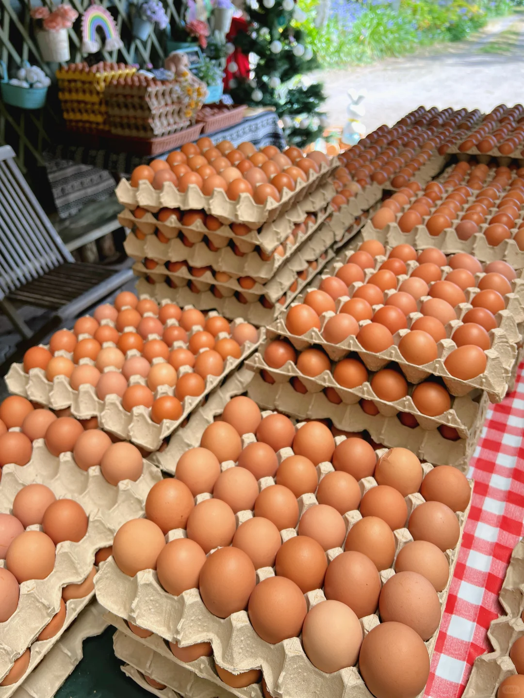 奥克兰散养草鸡蛋?比超市还便宜!12刀30个