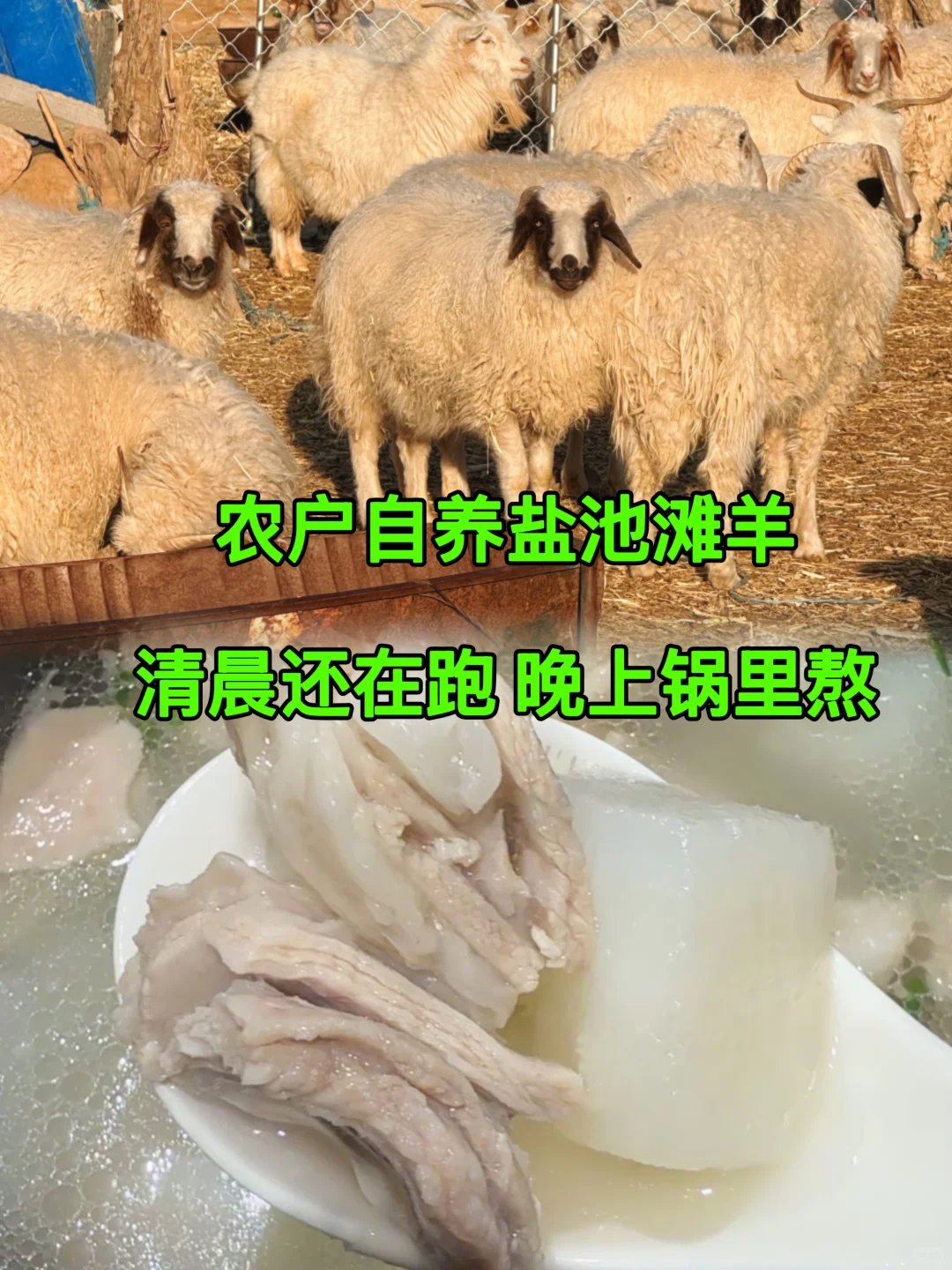 Ϊʲô��˵���ѡ���׼��������Ҳ���