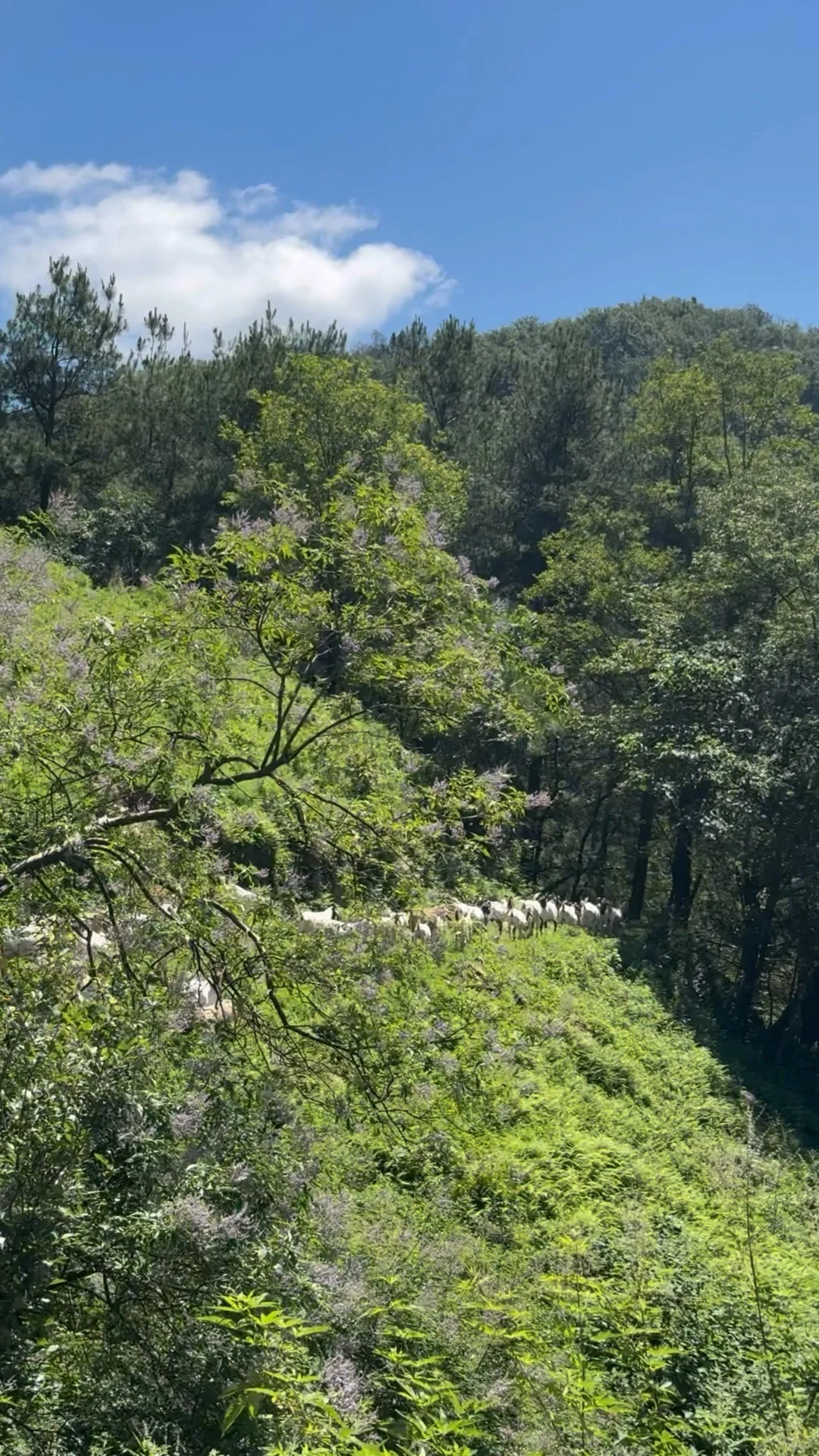 ����ҽԺ��ǵ�2���� | �ش�����������