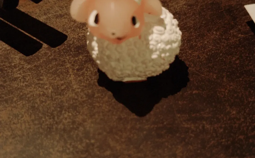 ����С��