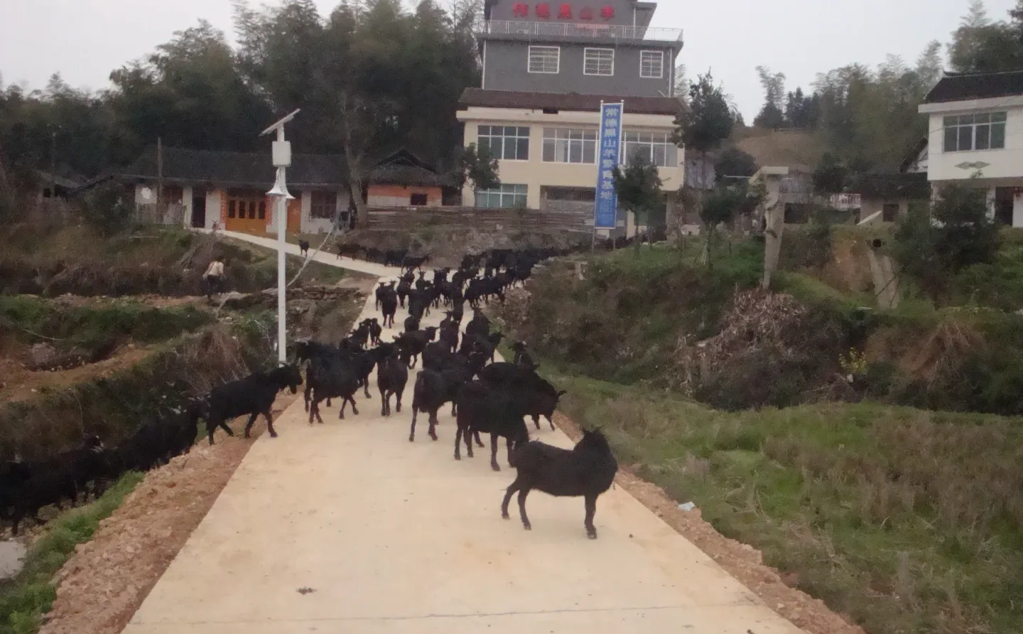 2026�����������ɽ����ֳ�𣿴𰸺���ȷ