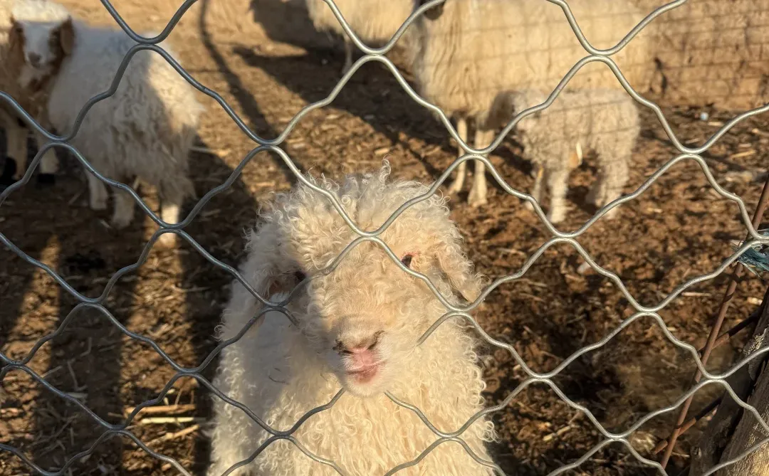 Ϊʲô��˵���ѡ���׼��������Ҳ���