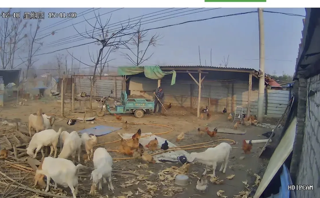 ��ĸ��ũ��ι�������⼦Ѽ�������