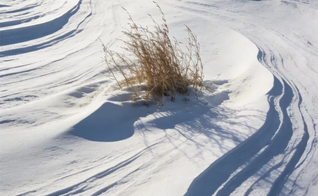 ���������ġ����á�ʱ�̣���ֱ�����˵ļ�֡