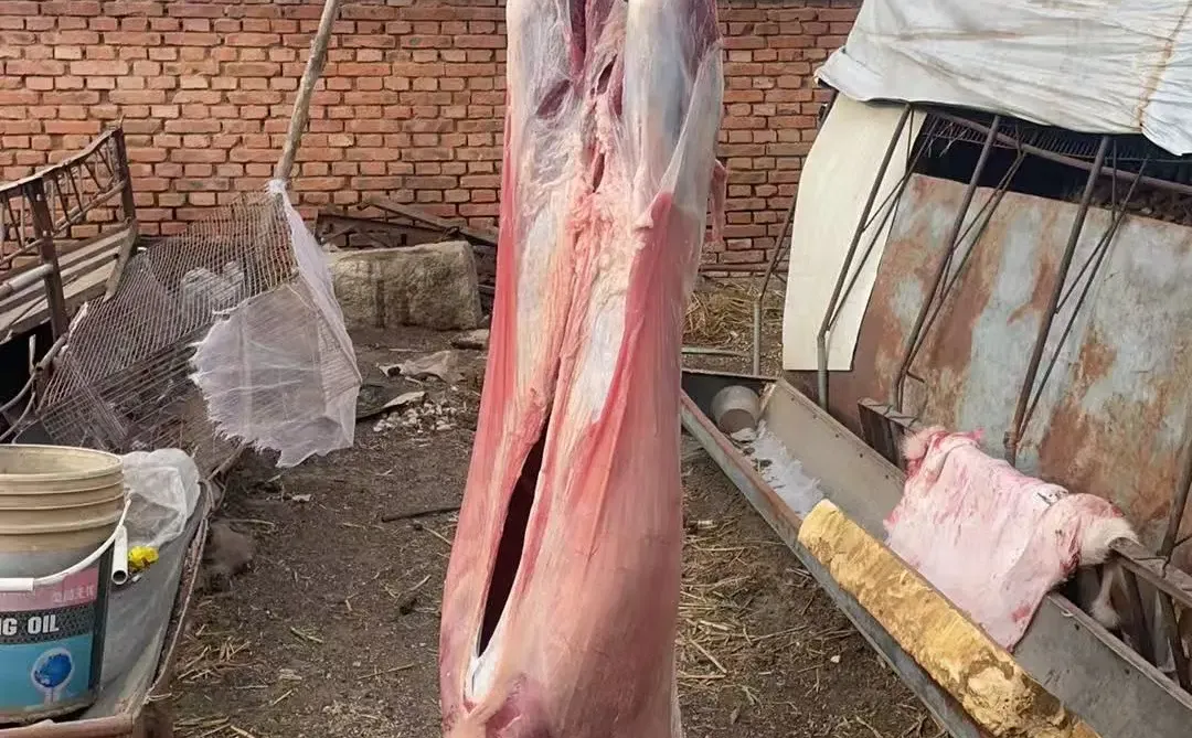 �ܾ�������ũ��Դͷֱ������������