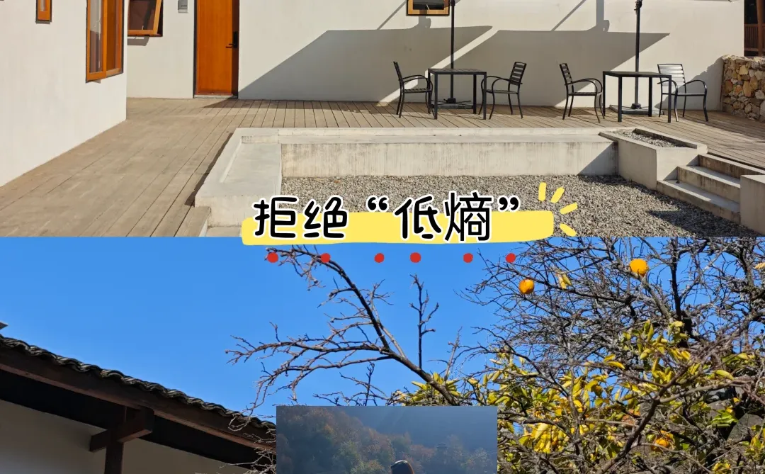 ���Ϻ� ����֪����Ҫ���Լ��Ļ�������