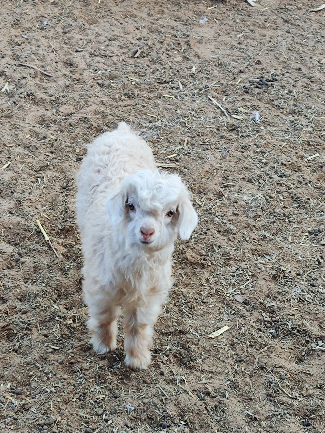 ��ĺÿɰ���ɽ�򱦱���������