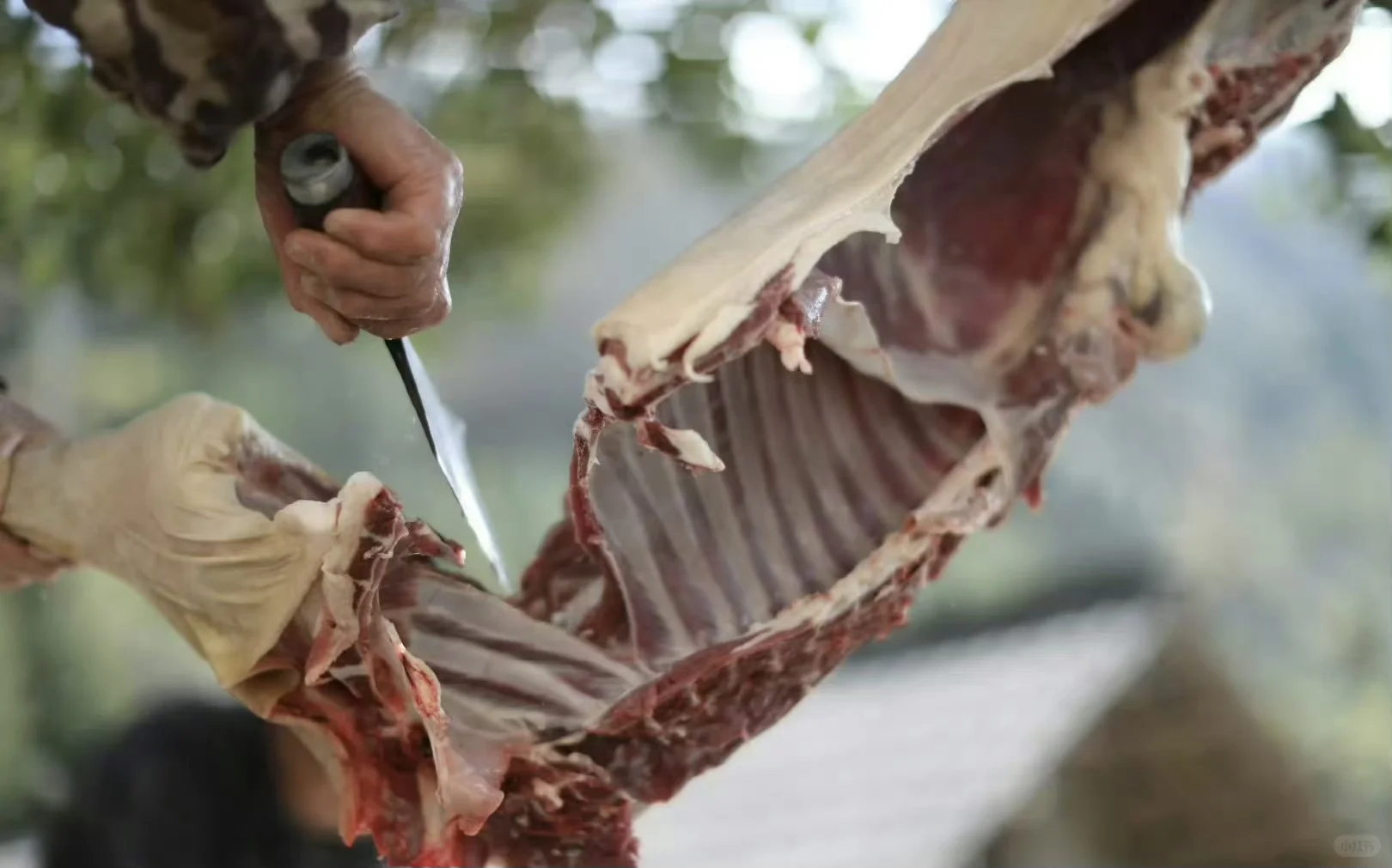 ����ҽԺ��ǵ�2���� | �ش�����������