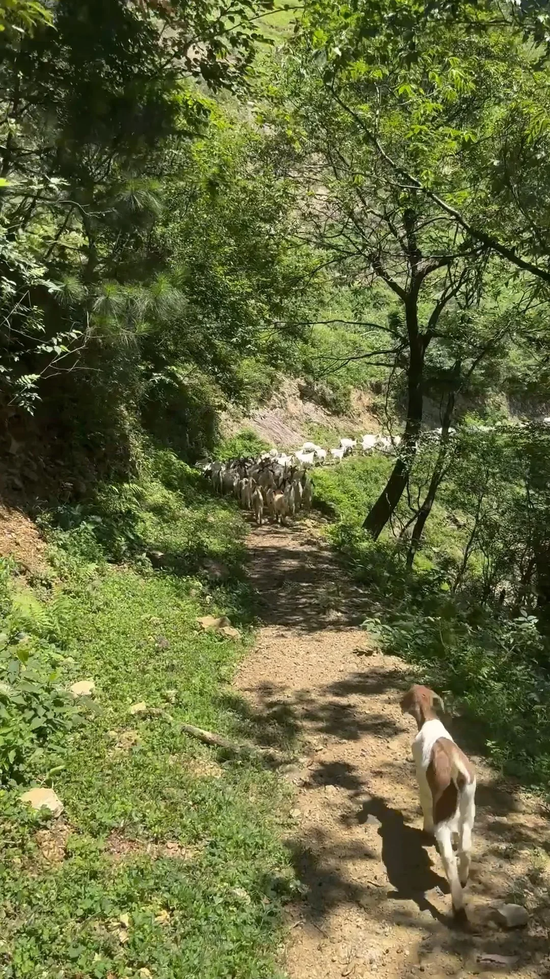 ����ҽԺ��ǵ�2���� | �ش�����������